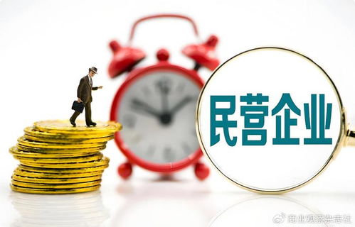 當民營企業遇見世界500強 以企業自有資金共繪“投資中國，共贏未來”新藍圖